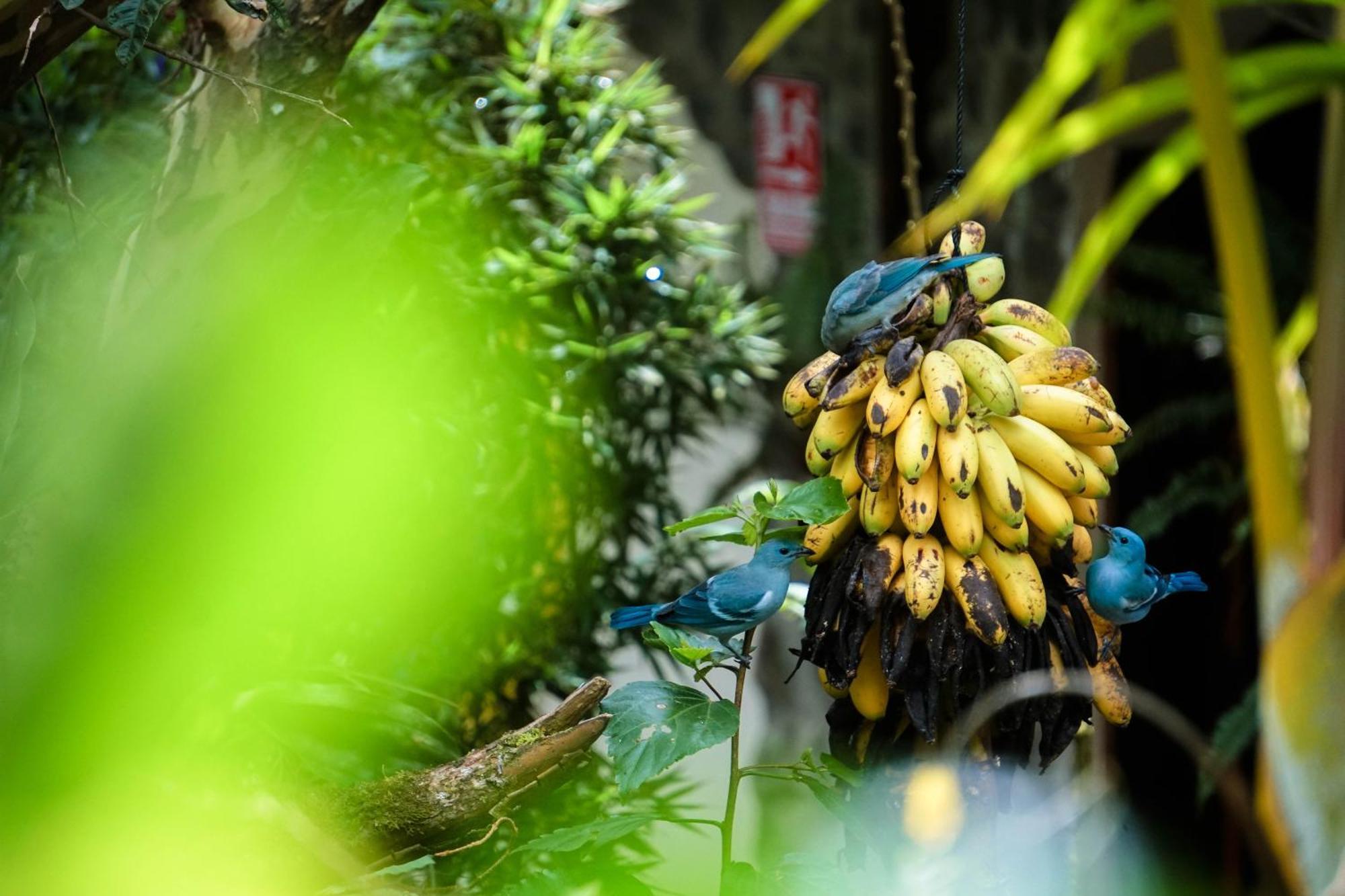 米拉梅林多Spa酒店 Río Verde 外观 照片